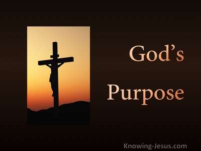 God's Purpose (devotional)11-22 (orange)